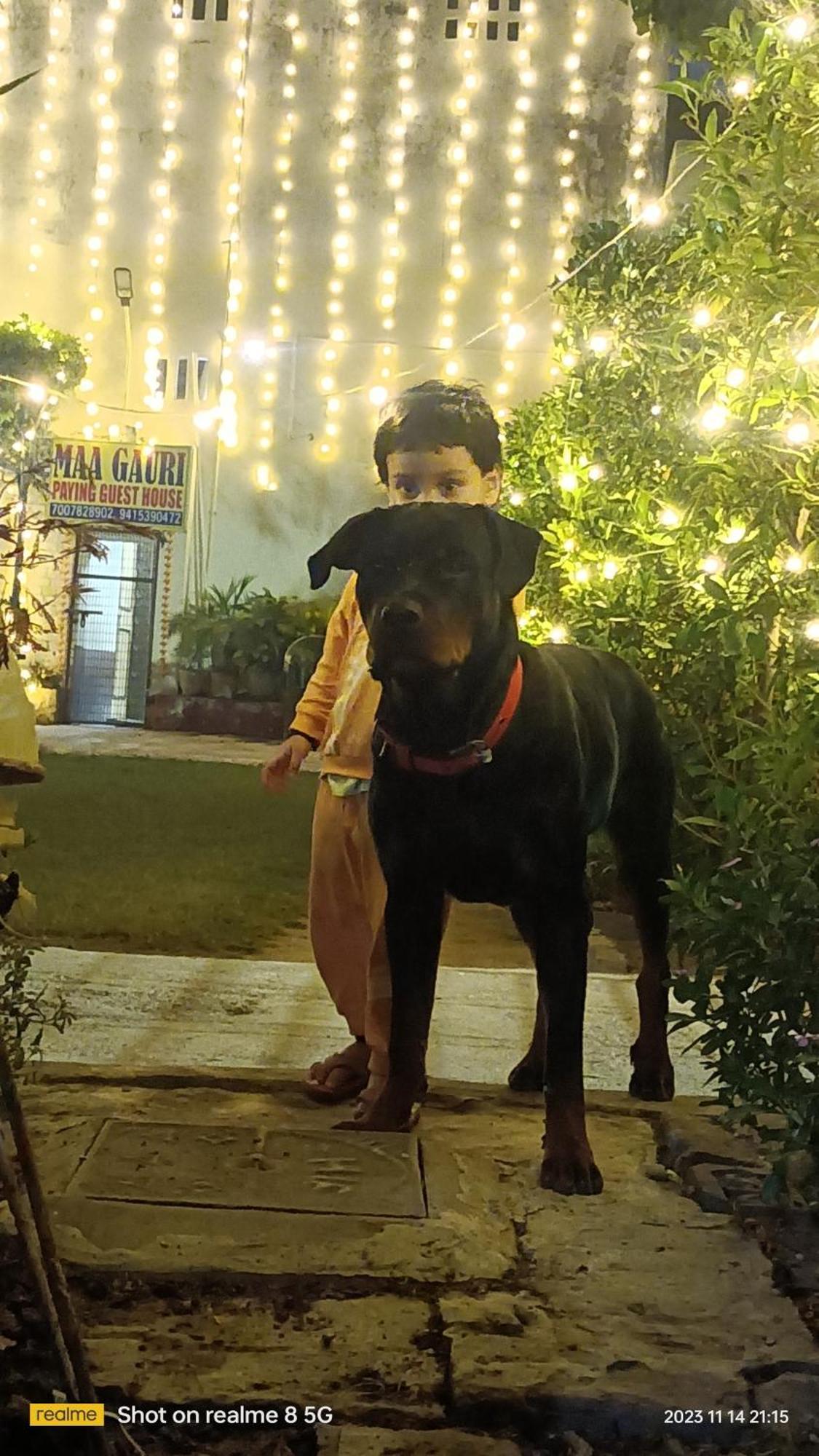Maa Gauri Paying Guest House Varanasi Exterior foto